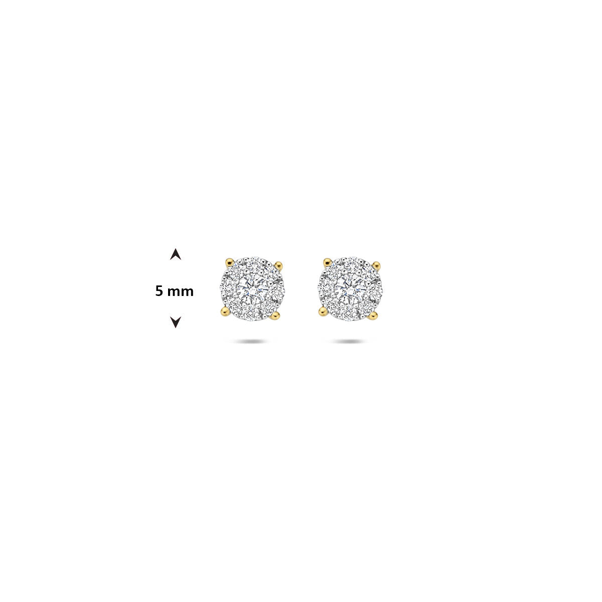 Fantasy Collection Oorbellen diamant 0.25ct (2x 0.125ct) h si 5 mm 14K bicolor goud