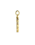 14K geelgouden hanger diamant 0.25ct 18 mm - 4033631 - PansiteNederland.nl