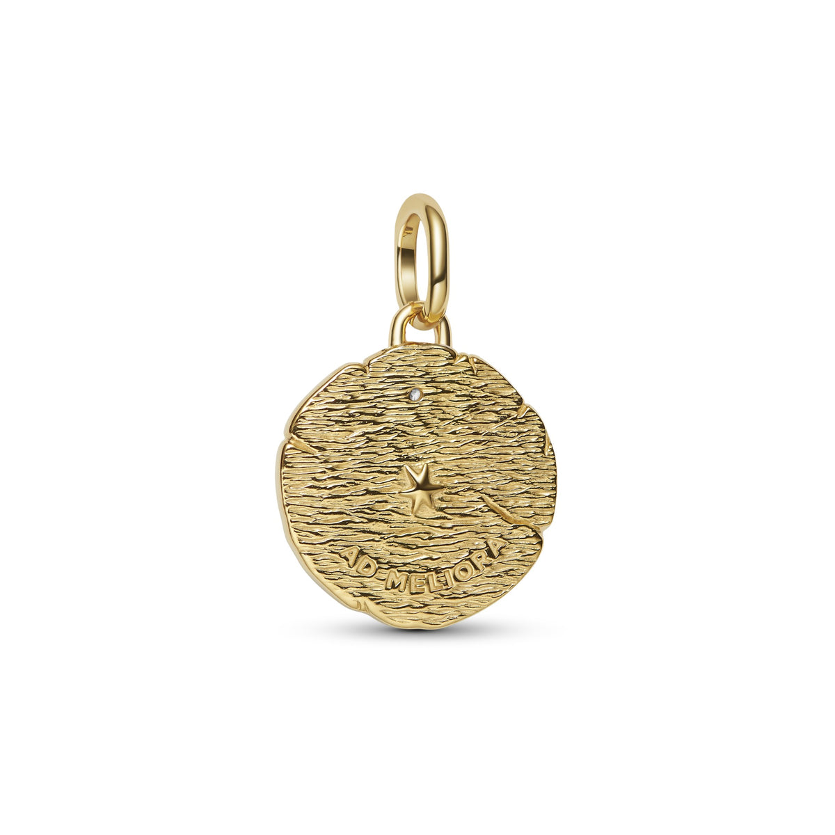 Pandora Medaillonbedel kruisende pijlen bicolor zilver en goudverguld 764081C01
