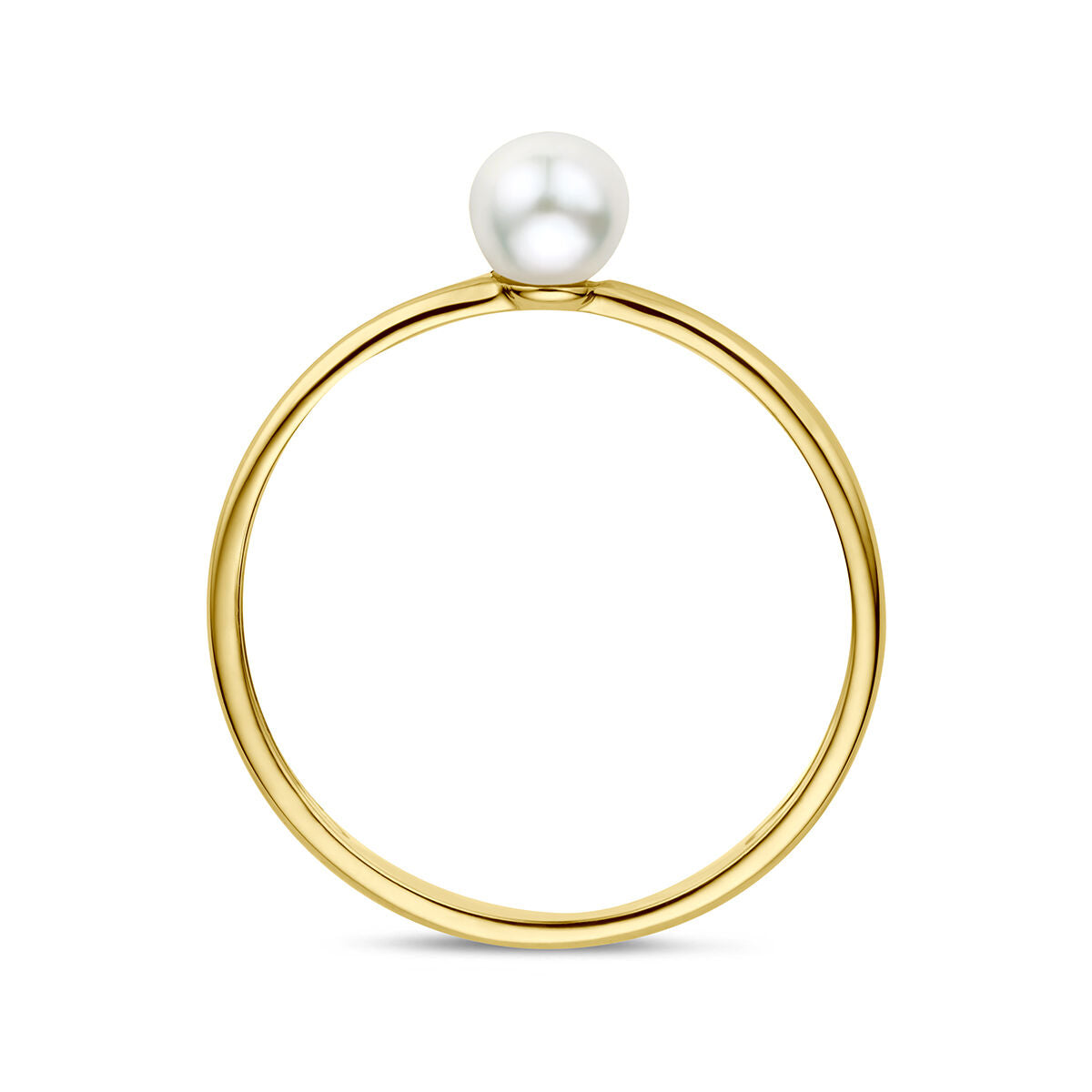 Ring parel 9K geelgoud