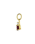 14K geelgouden hanger robijn en zirkonia 12 mm - 4034251 - PansiteNederland.nl