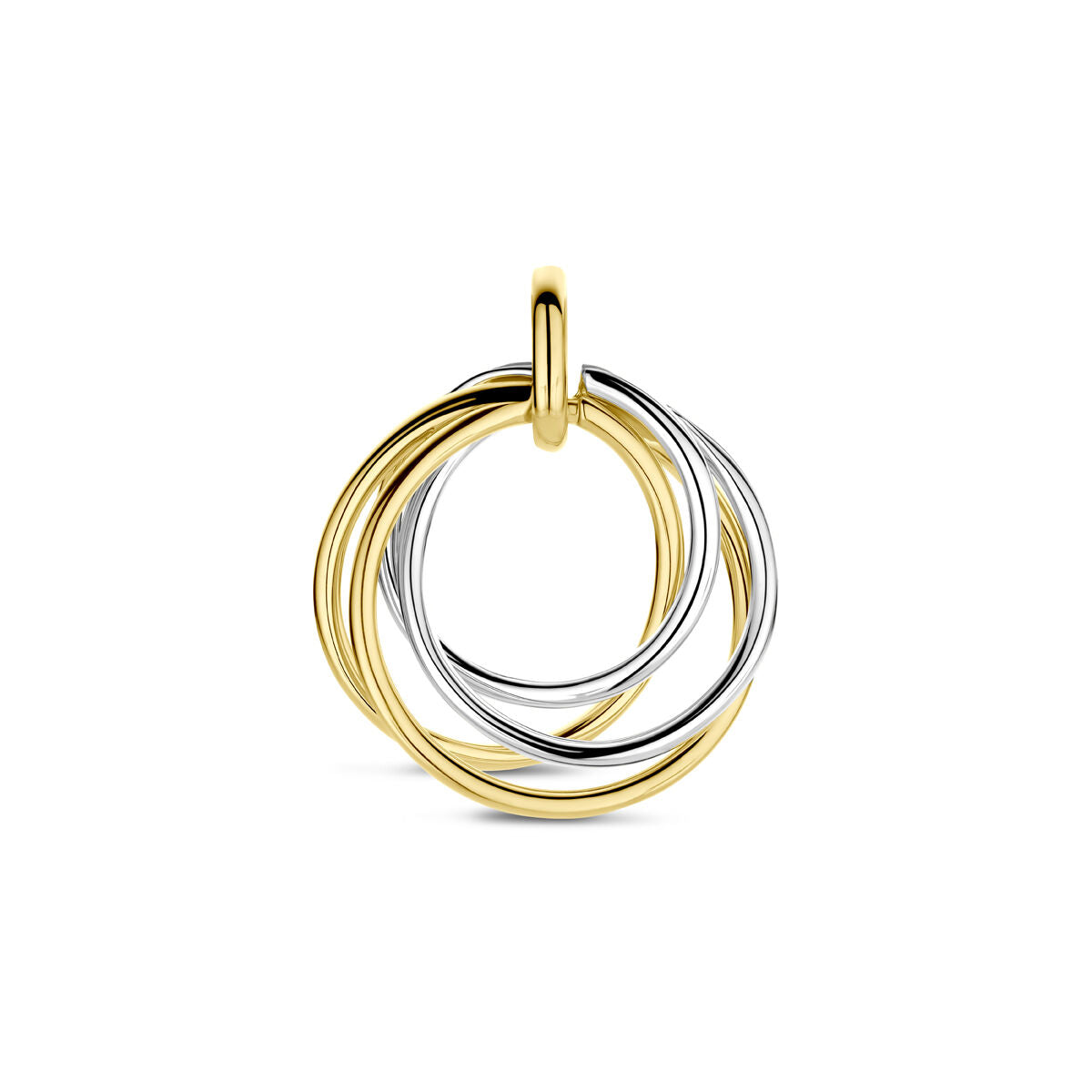 14K bicolor goud geel/wit hanger 21 mm - 4209098 - PansiteNederland.nl