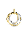 14K bicolor goud geel/wit hanger 21 mm - 4209098 - PansiteNederland.nl