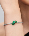 Pandora Bedel Disney Rapunzel Pascal kleurveranderend 793983C01