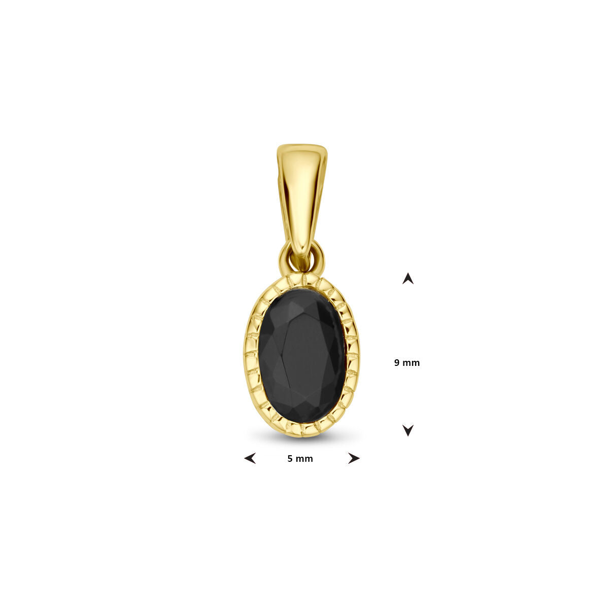14K geelgoud hanger zwart zirkonia 14 mm 4031726 - PansiteNederland.nl
