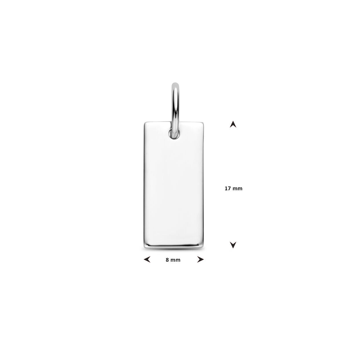 zilver gerhodineerd graveerhanger 17 mm 1340438 - PansiteNederland.nl