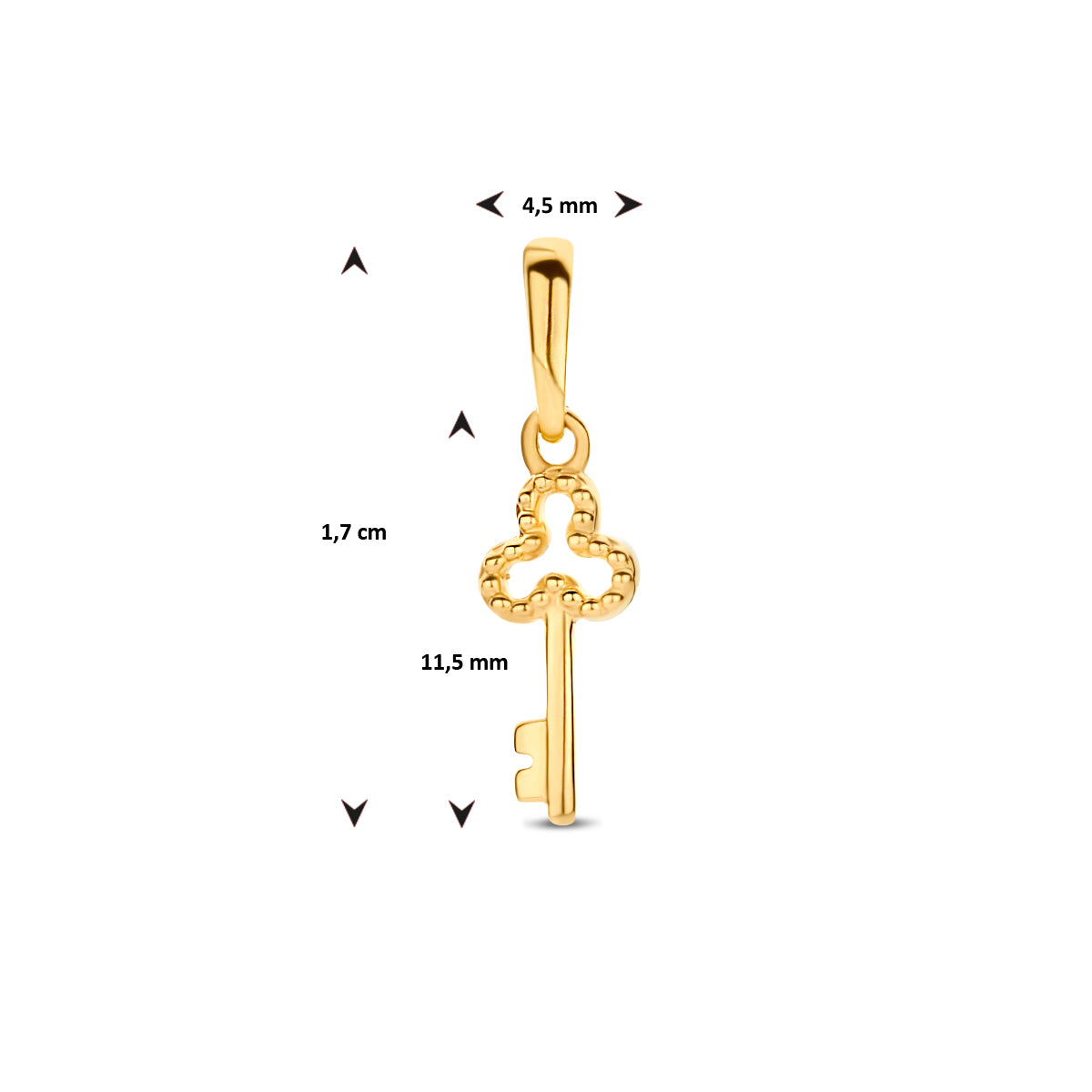 Fantasy Collection Hanger sleutel 9K geelgoud 11,5 mm - afbeelding 4