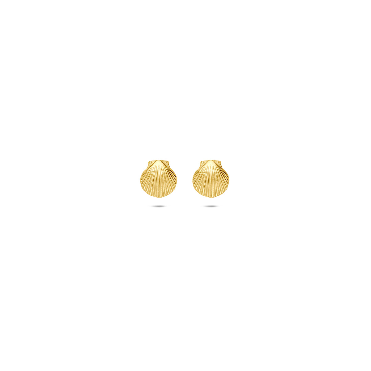 Fantasy Collection Oorknoppen schelp 9K geelgoud 4,5 mm