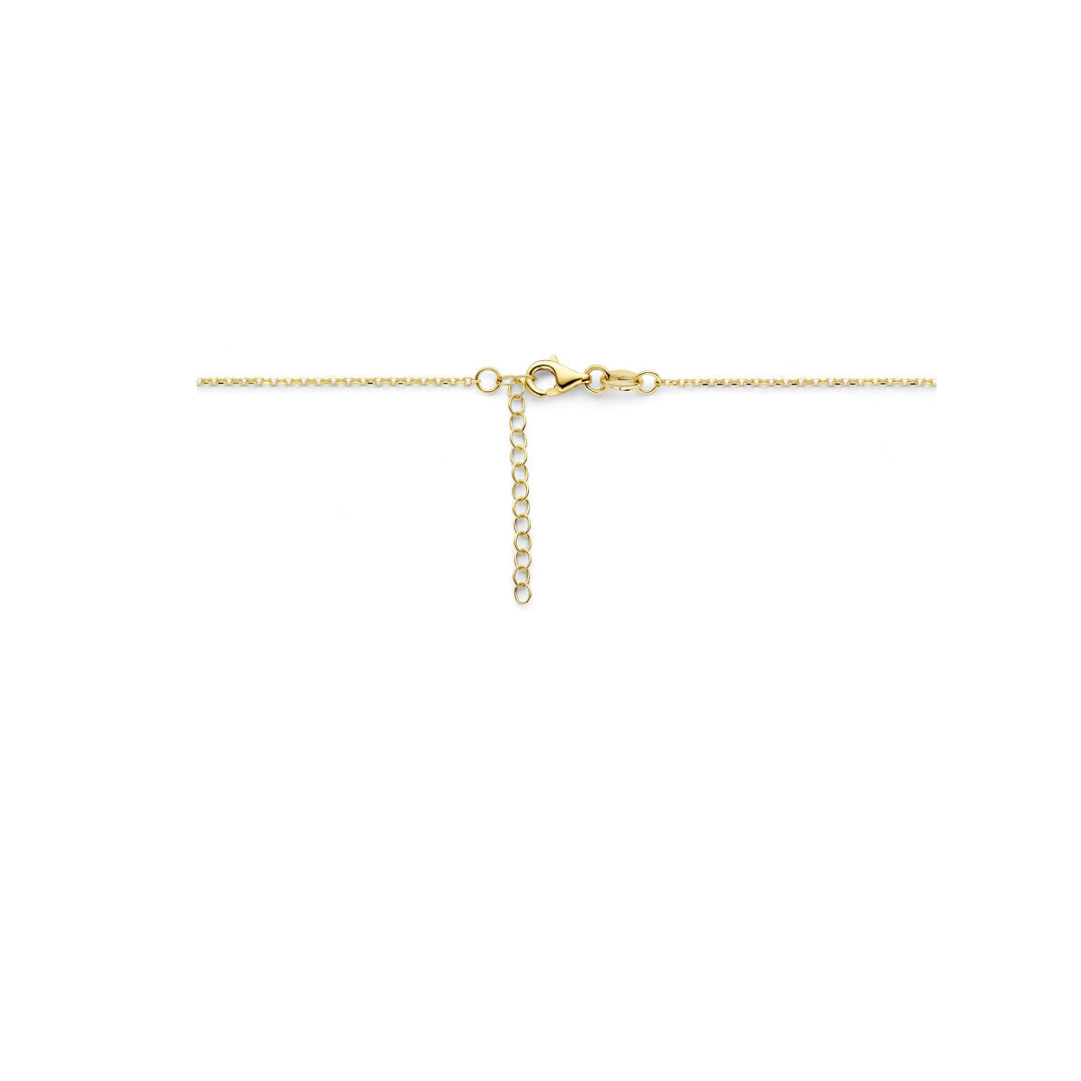 Fantasy Collection Collier 8 mm 42 + 3 cm 14K geelgoud