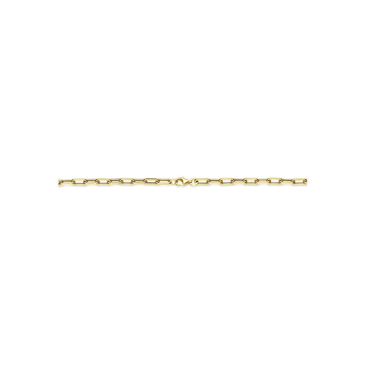 Fantasy Collection Collier 4 mm 42 cm 14K geelgoud