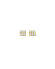 Bicolor gouden oorknoppen zirkonia - PSN4019082