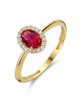 14K geelgouden ring 4025271 - PansiteNederland.nl