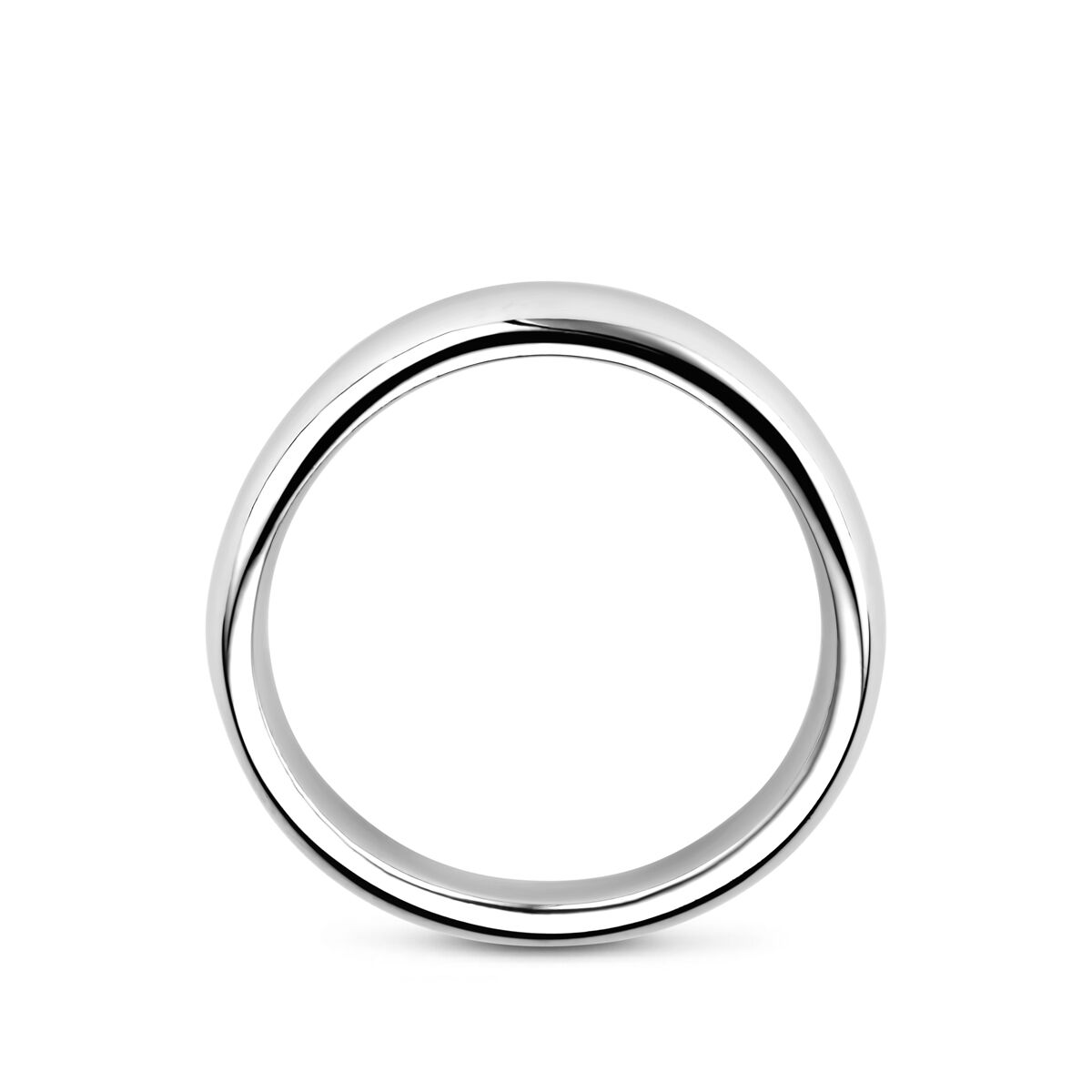 Fantasy Collection Ring zilver
