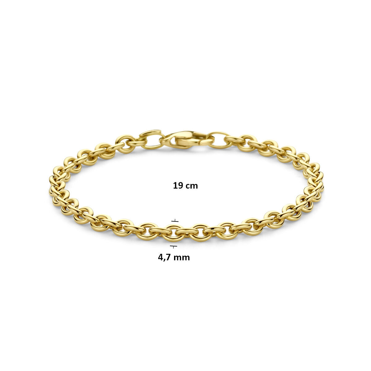 Armband 4,7 mm 19 cm 14K geelgoud