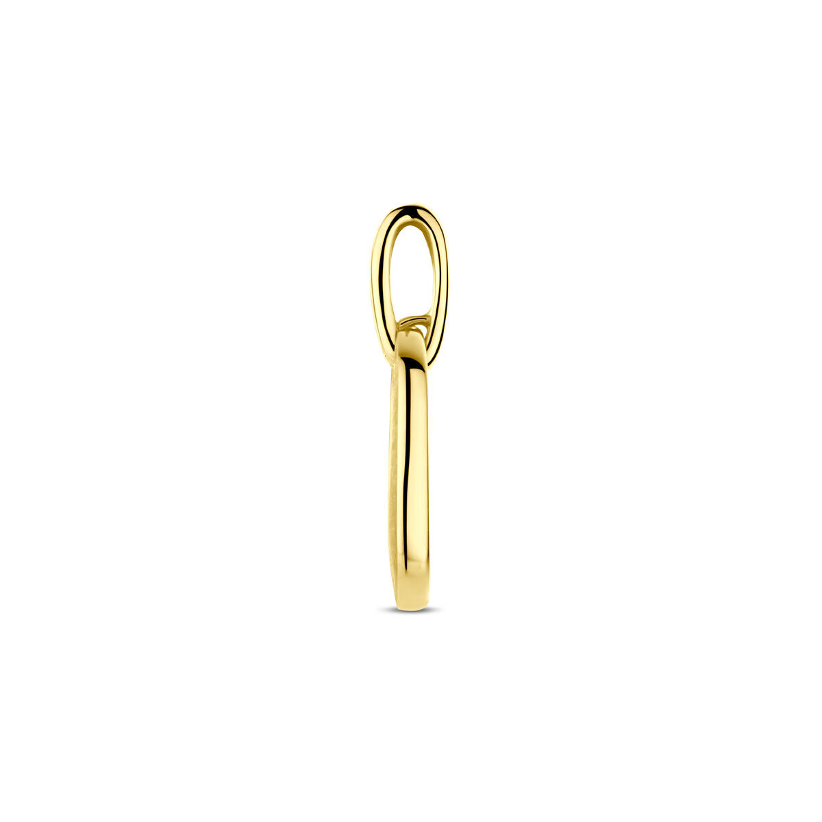 14K geelgouden hanger poli/mat diamant 0.03ct h si 20 mm - 4034612 - PansiteNederland.nl