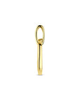 14K geelgouden hanger poli/mat diamant 0.03ct h si 20 mm - 4034612 - PansiteNederland.nl