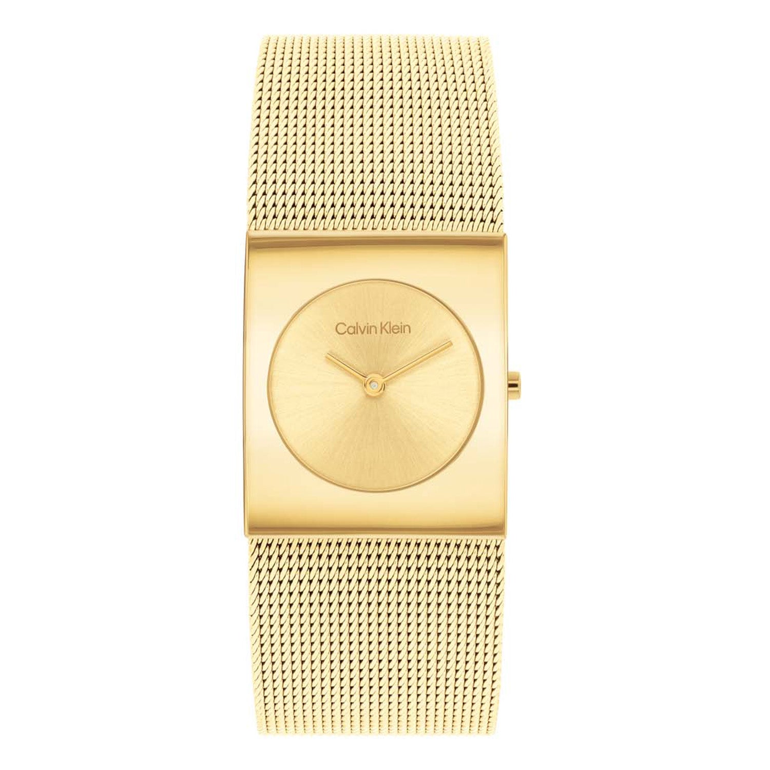 Calvin Klein CK25100062 Dames Horloge 24mm