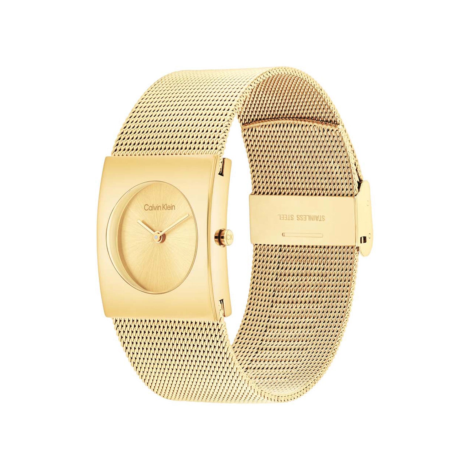 Calvin Klein CK25100062 Dames Horloge 24mm
