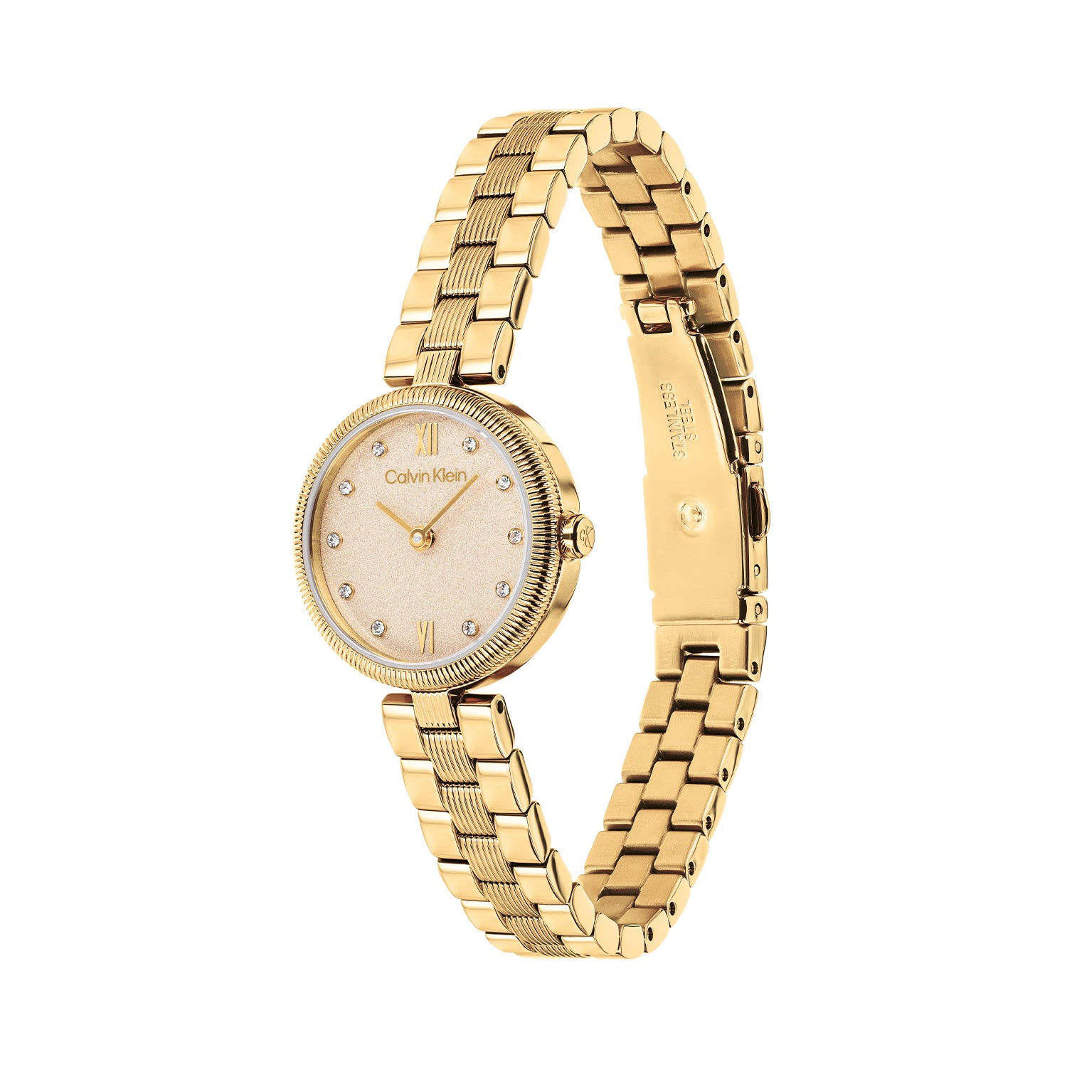 Calvin Klein CK25100225 Dames Horloge 24mm