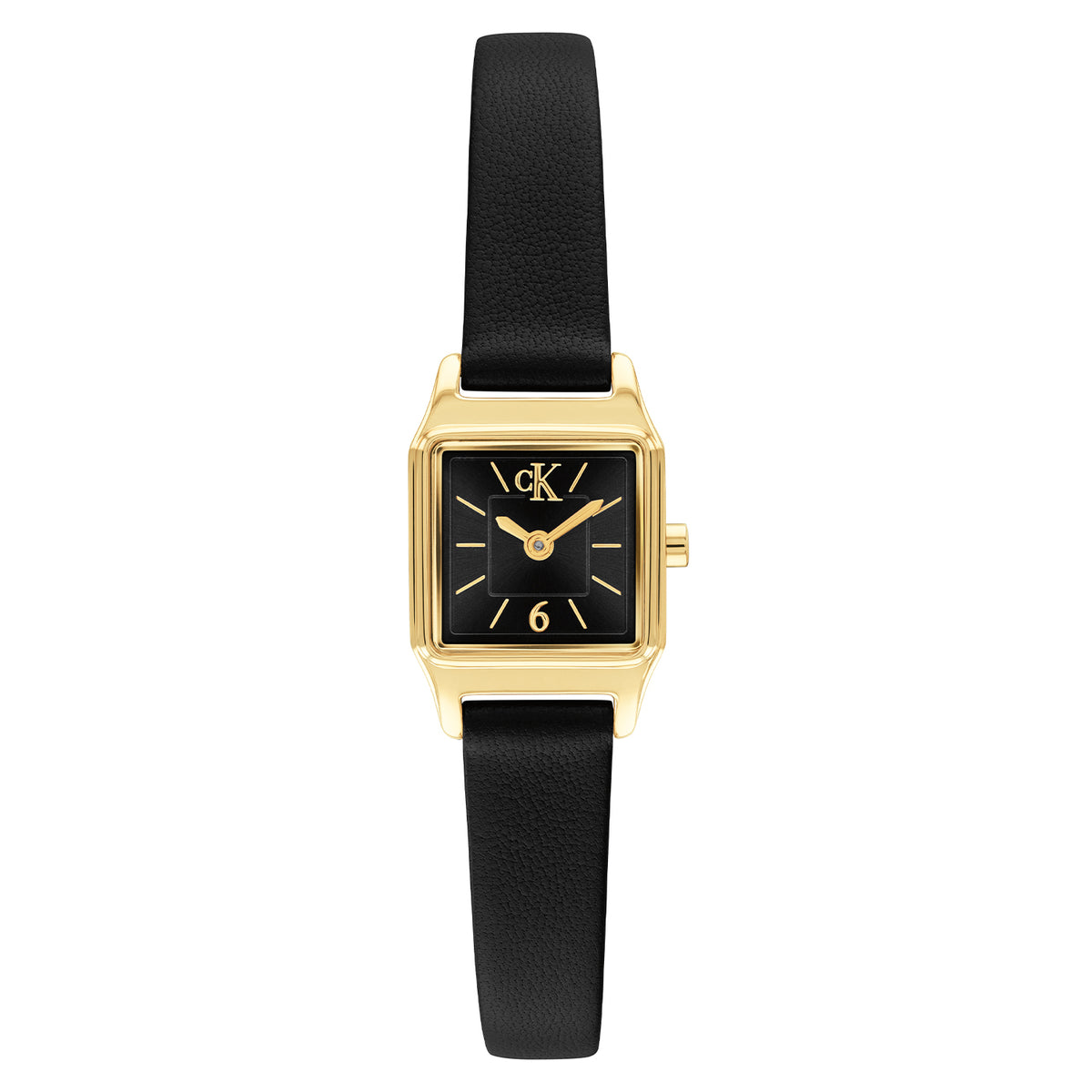 Calvin Klein Dames Horloge CK25100236 16 mm Goudkleurig