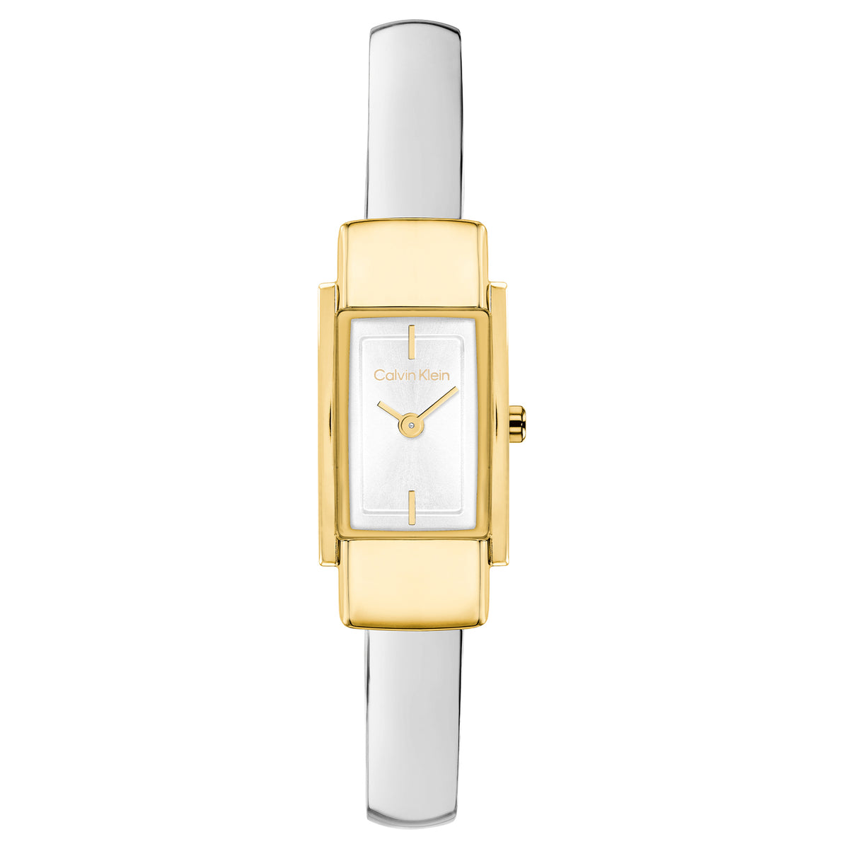 Calvin Klein Dames Horloge CK25100238 15 mm Goudkleurig