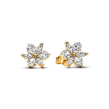 Pandora Timeless Oorknoppen 262633C01