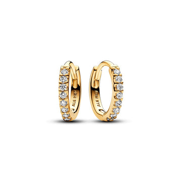 Pandora Timeless Oorringen 263015C01