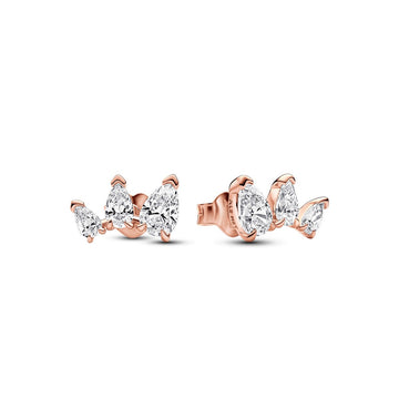 Pandora Timeless Oorknoppen 282836C01