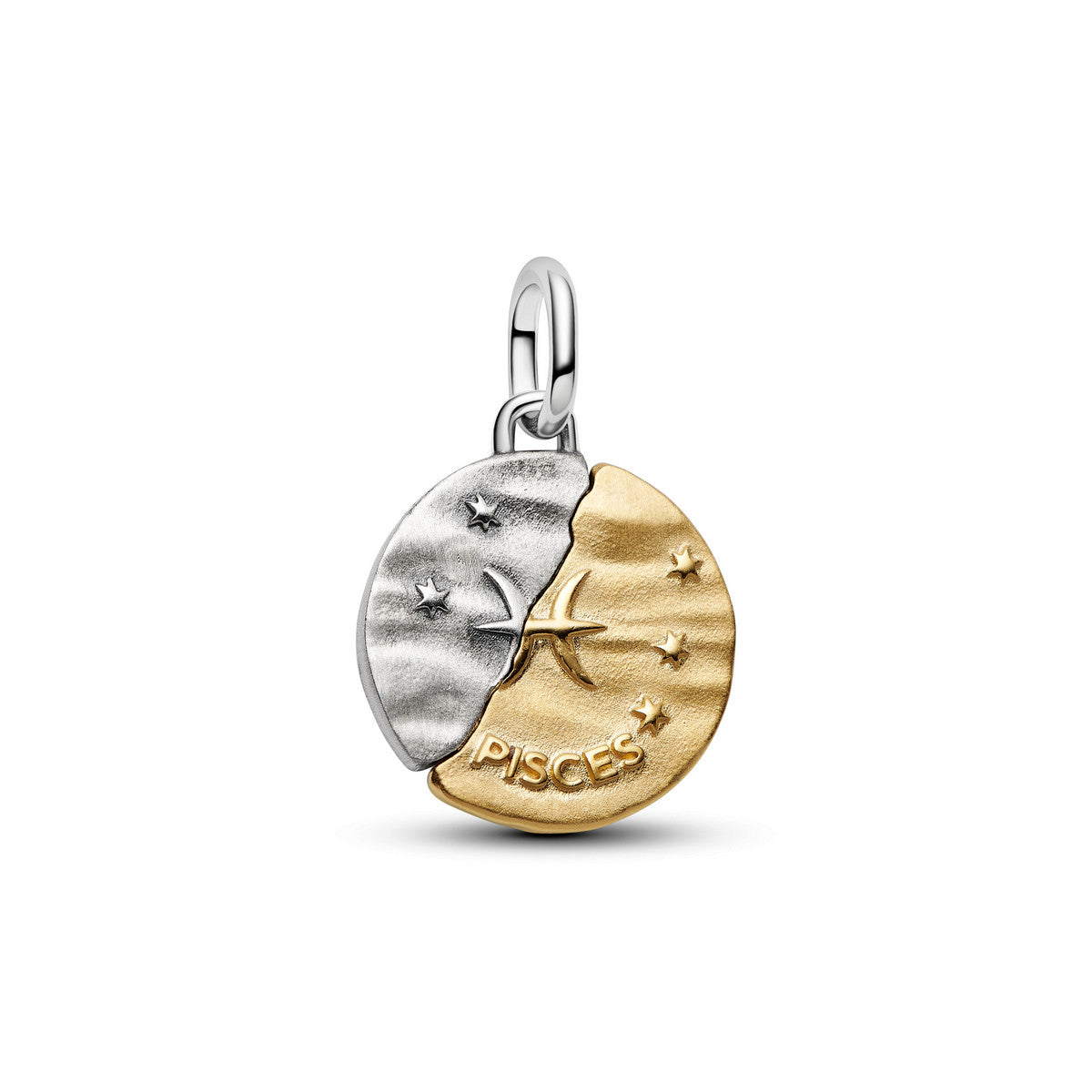 Pandora Dierenriem Vissen Medaillonbedel bicolor zilver en goudverguld 764991C01