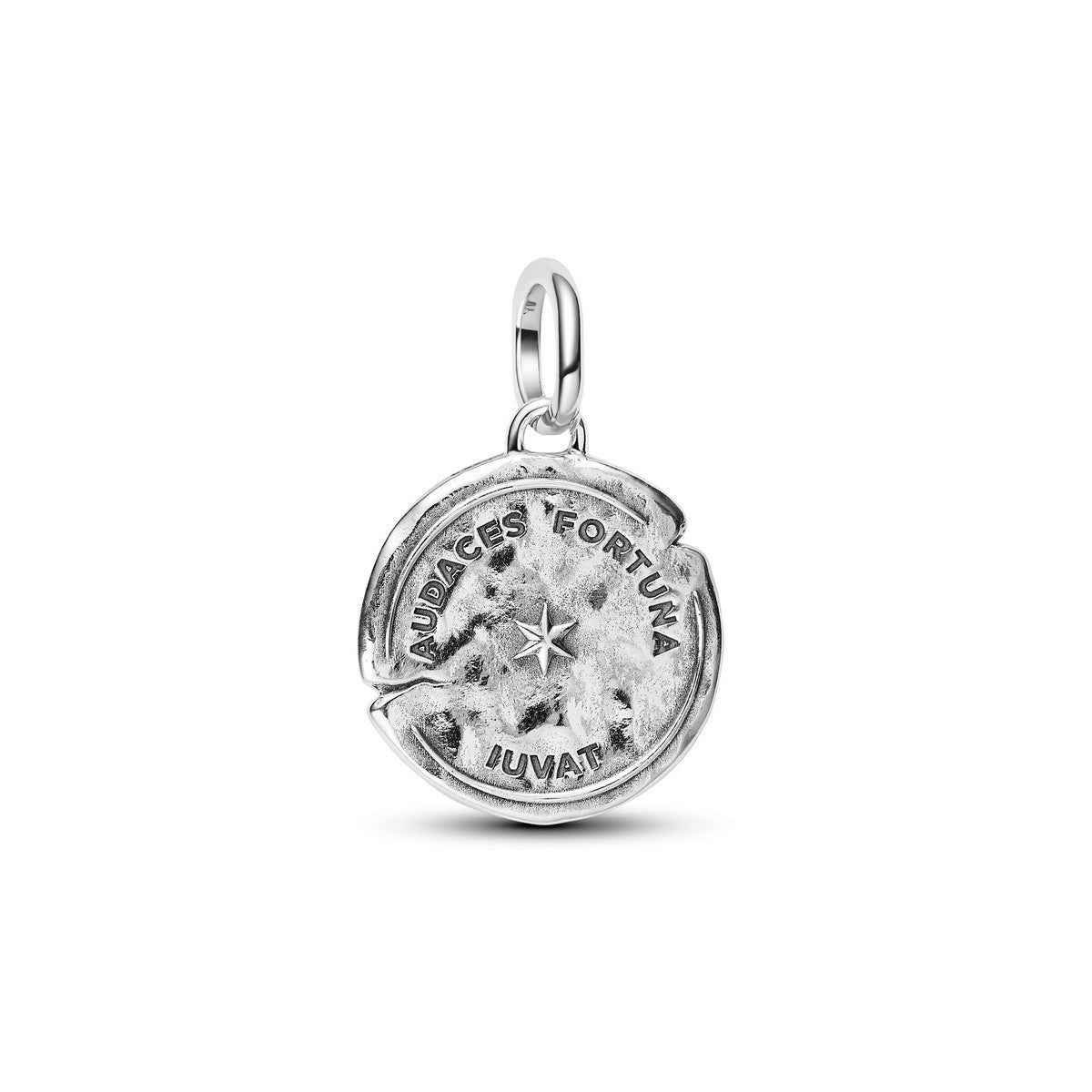 Pandora Dolfijn Medaillonbedel zilver 794807C01