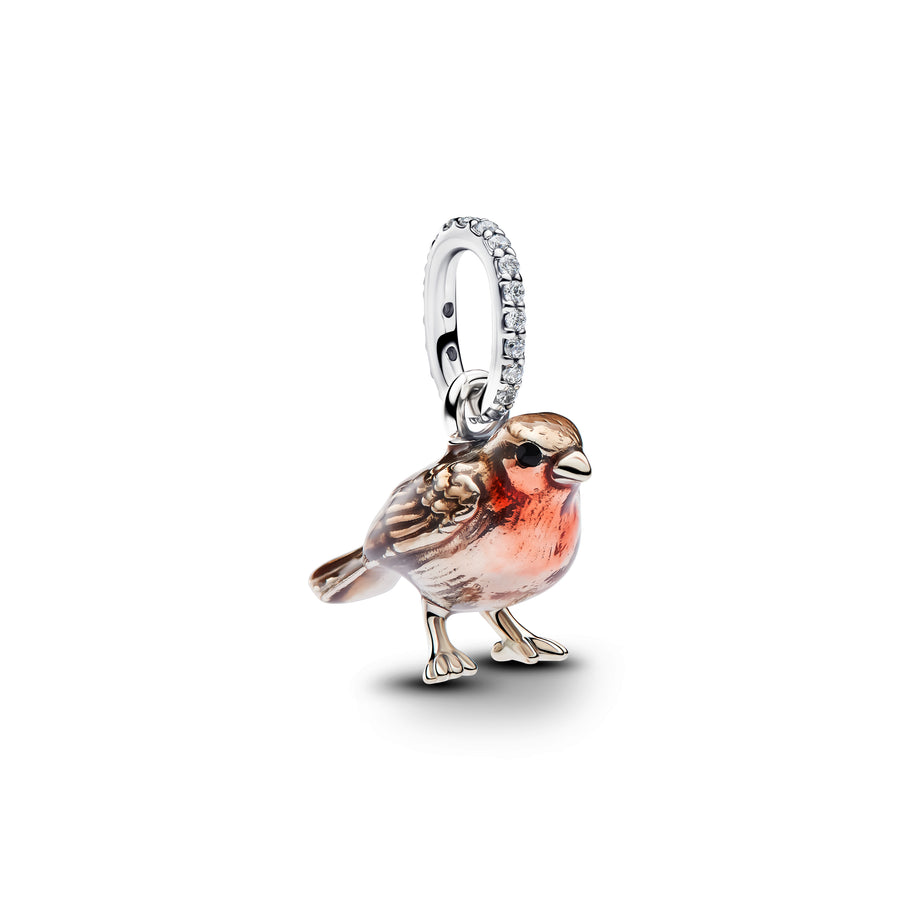 Nieuwe Pandora sieraden
