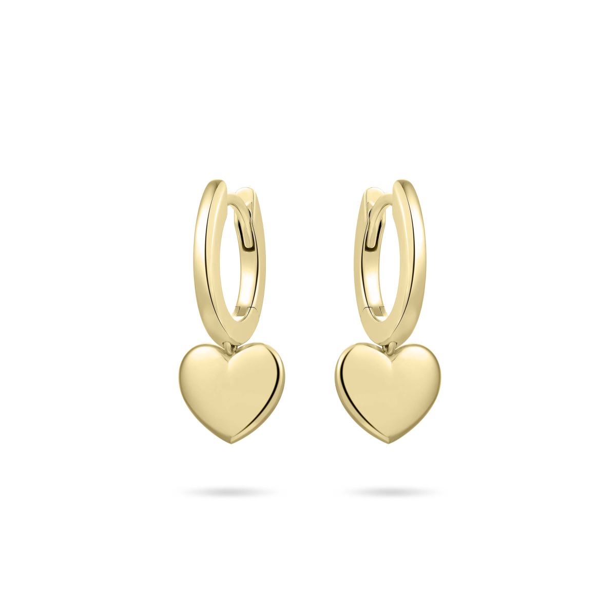 Gisser Oorringen Zilver Geel Verguld – KC1026Y