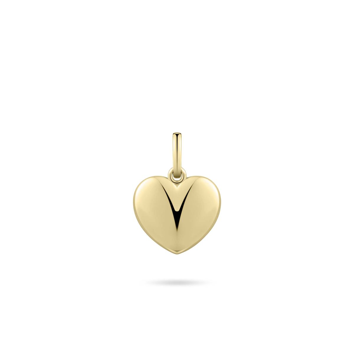 Gisser Hanger Zilver Geel Verguld – P1086Y