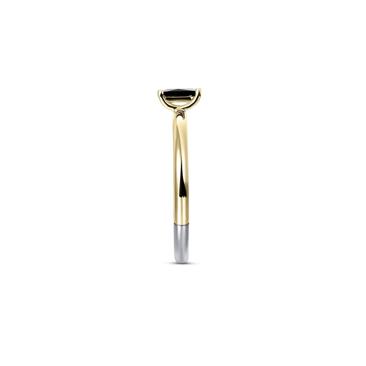 Gisser Ring Zilver Verguld Bicolor Zirkonia Zwart – R417YZ – foto 3