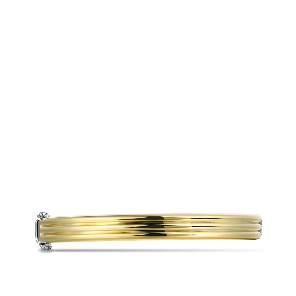 Gisser Bangle Zilver Geel Verguld 60 mm – SB29Y – foto 2
