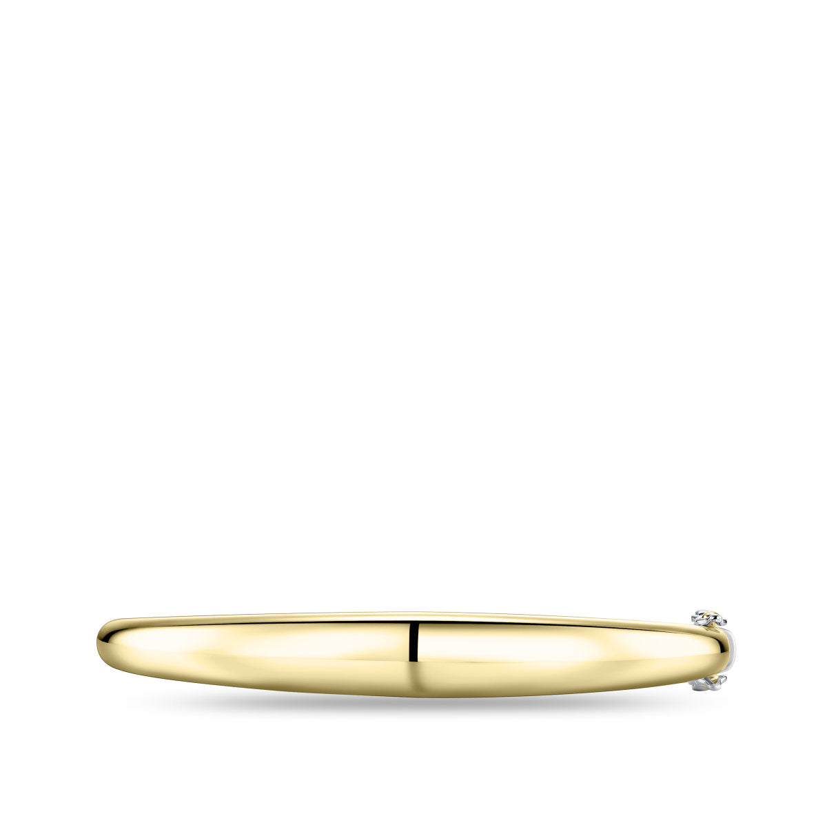 Gisser Bangle Zilver Verguld Bicolor – SB39Y – foto 2