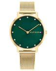 Tommy Hilfiger TH1782668 Horloge Dames Goudkleurig 34mm, exclusief en kwalitatief hoogwaardig. Ontdek nu!