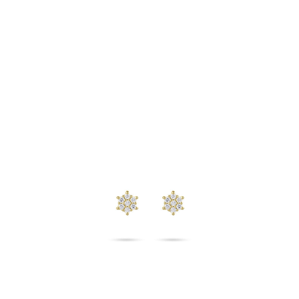 Gisser Oorbellen 14K Geelgoud Zirkonia Wit – VGE043