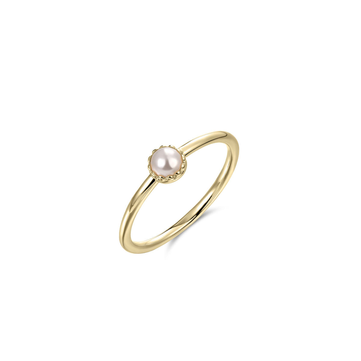 Gisser Ring 14K Geelgoud – VGR051