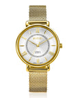 ZINZI Twenty horloge met zilverkleurige wijzerplaat, geelgoudkleurige kast 34mm en stalen meshband ZIW2033 - PansiteNederland.nl