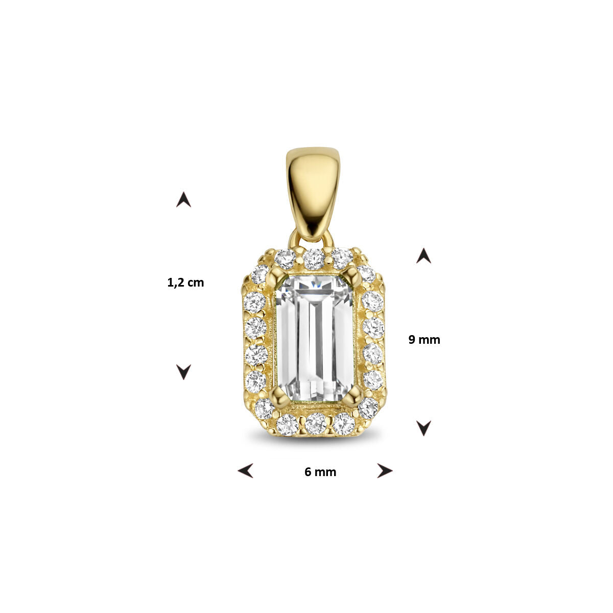 14K geelgoud hanger zirkonia halo 4028200 - PansiteNederland.nl