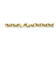 14K geelgoud collier jasseron 6,5 mm 45 cm 4027291 - PansiteNederland.nl