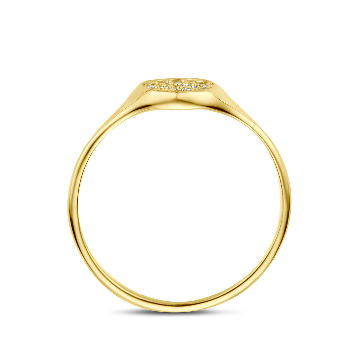Ring zirkonia 14K geelgoud wit