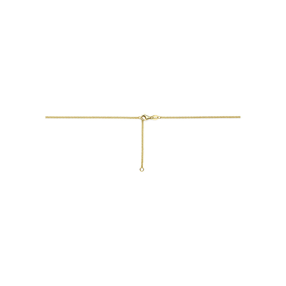 Collier 14K geelgoud 41 + 4 cm