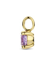 14K geelgoud hanger amethist 4026736 - PansiteNederland.nl