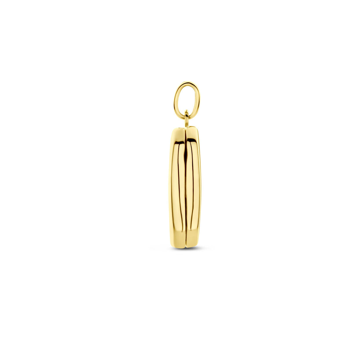 14K geelgouden medaillon 21 mm - 4033506 - PansiteNederland.nl