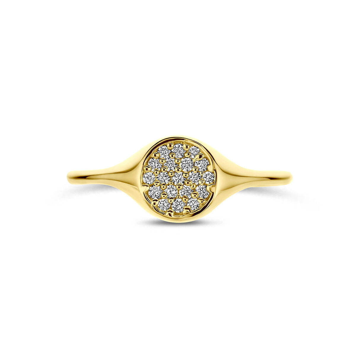 Ring zirkonia 14K geelgoud wit