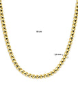14K geelgoud collier san marco 6,6 mm 43 cm 4030962