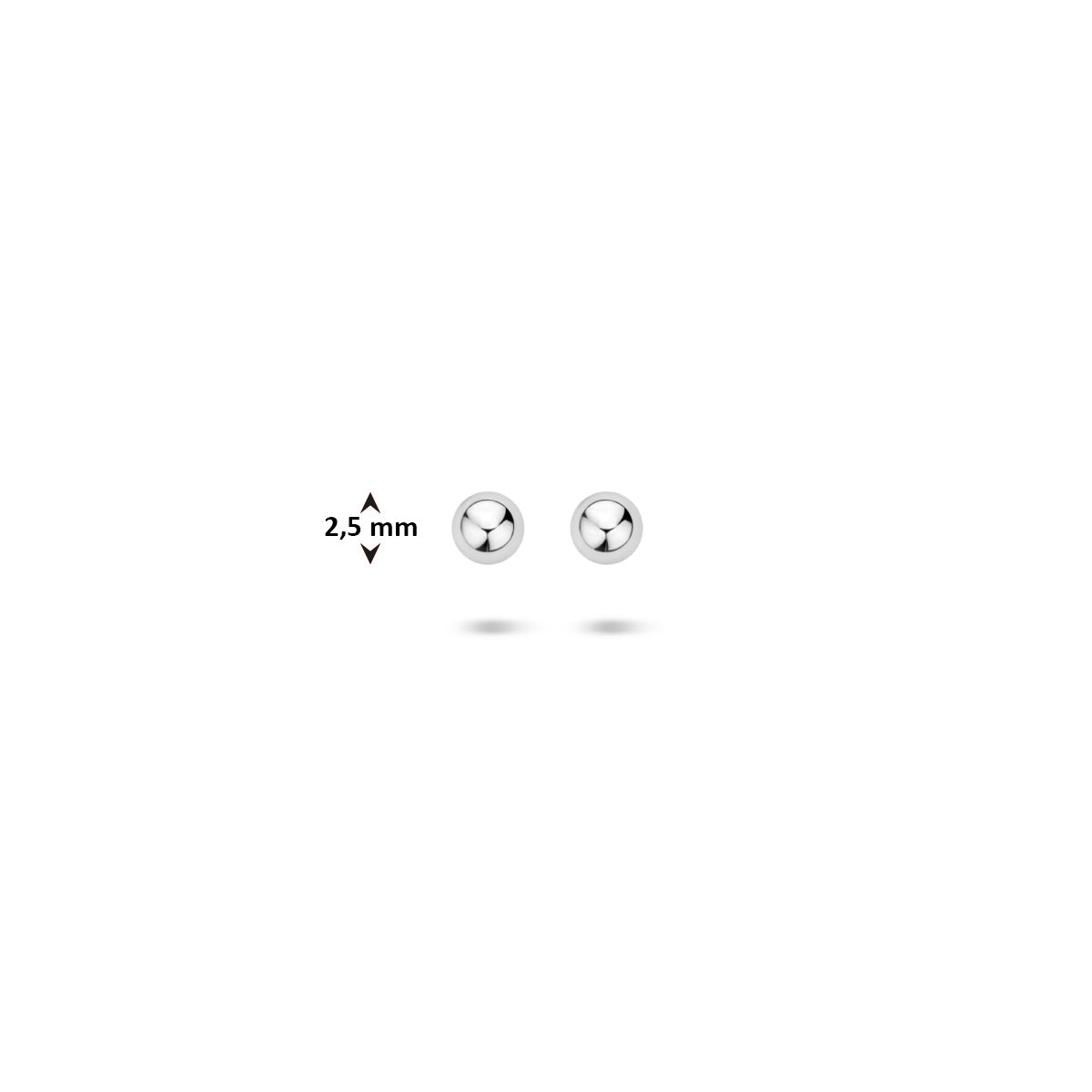 Oorbellen bolletje zilver 2,5 mm #Diameter (mm)_2.5