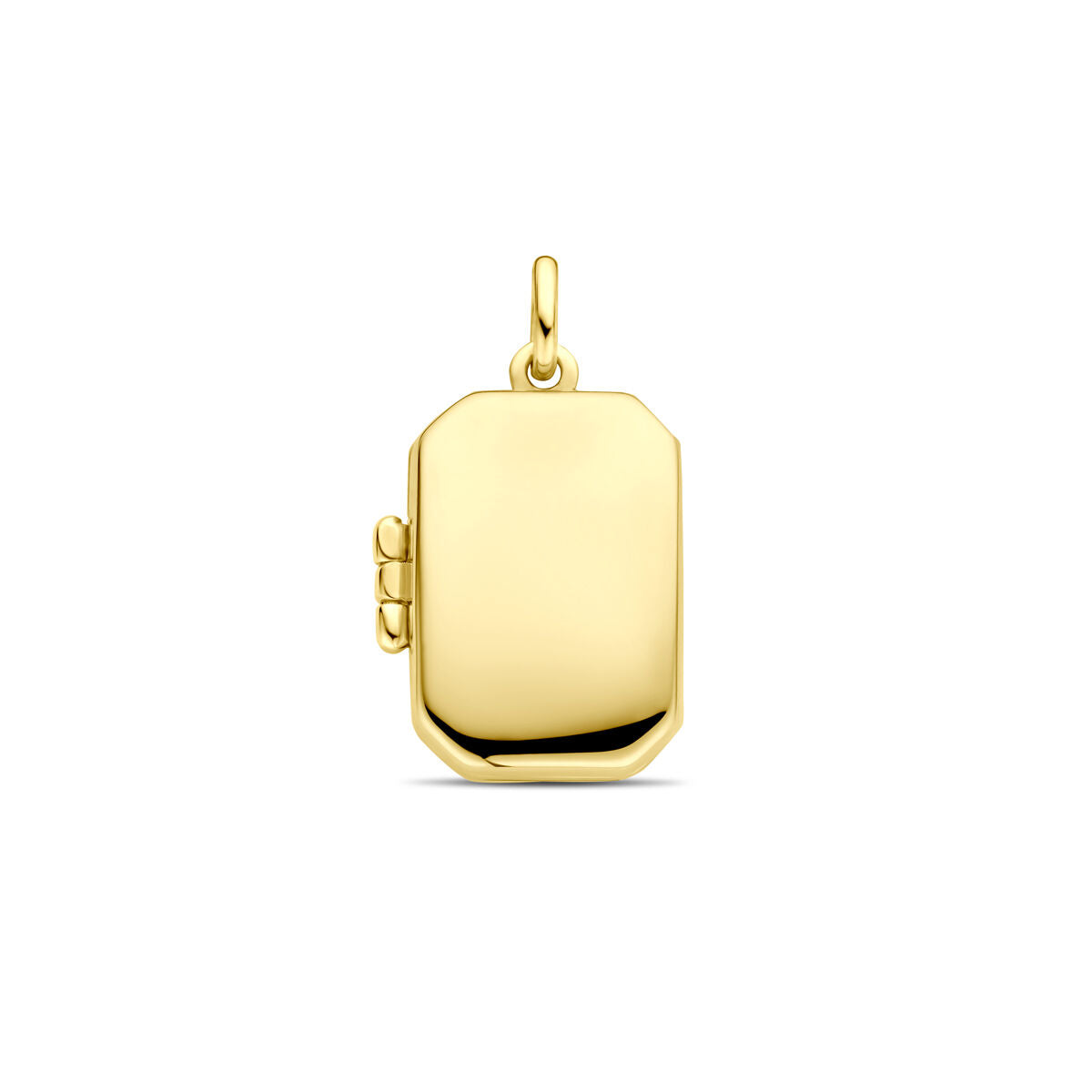14K geelgouden medaillon 21 mm - 4033506 - PansiteNederland.nl